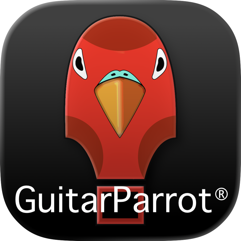 GuitarParrot stage shot